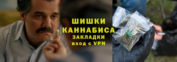 метадон Богданович