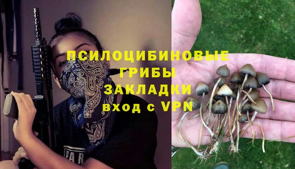 амфетамин Белокуриха