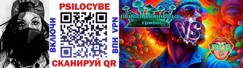 где продают   Балашов  Псилоцибиновые грибы MAGIC MUSHROOMS 