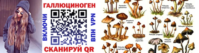 Псилоцибиновые грибы мицелий Балашов