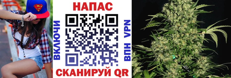 МАРИХУАНА план Балашов